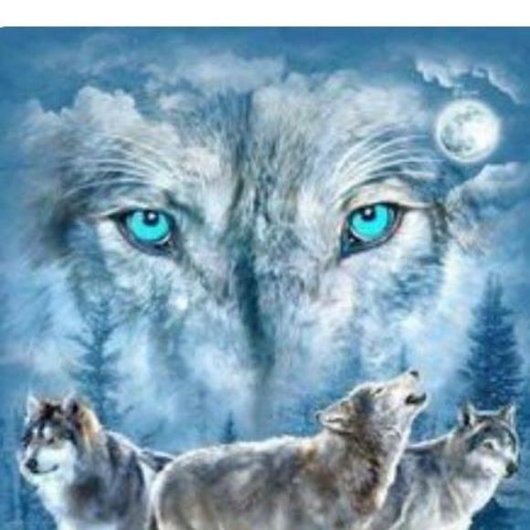 Meet your Posher, Matthew - Picture 1 of 1